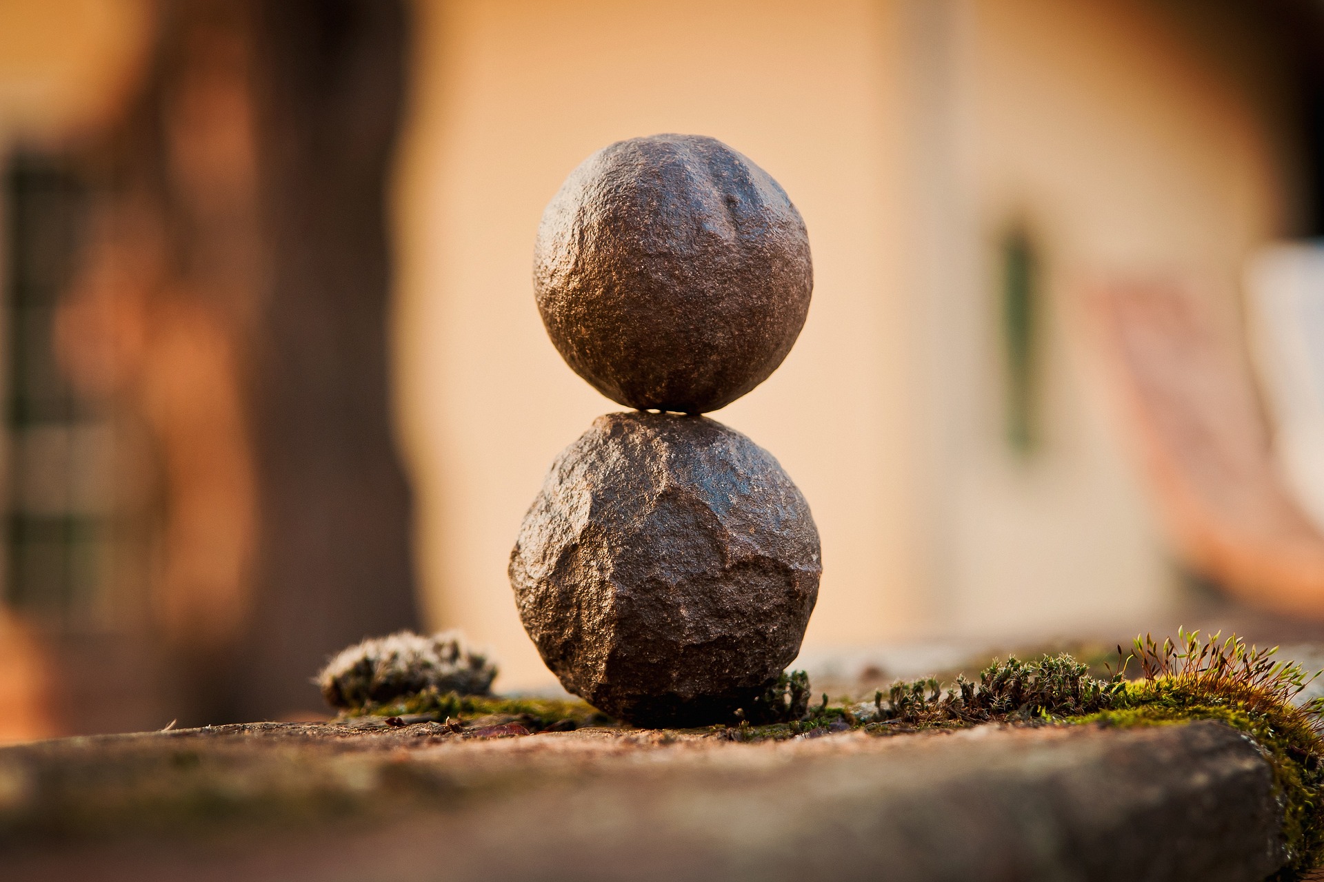 Equilibrio entre la Calidad y el Precio